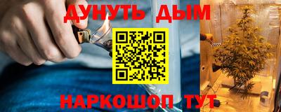 прущие грибы Ипатово