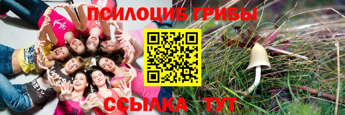 Псилоцибиновые грибы Magic Shrooms Тельмана