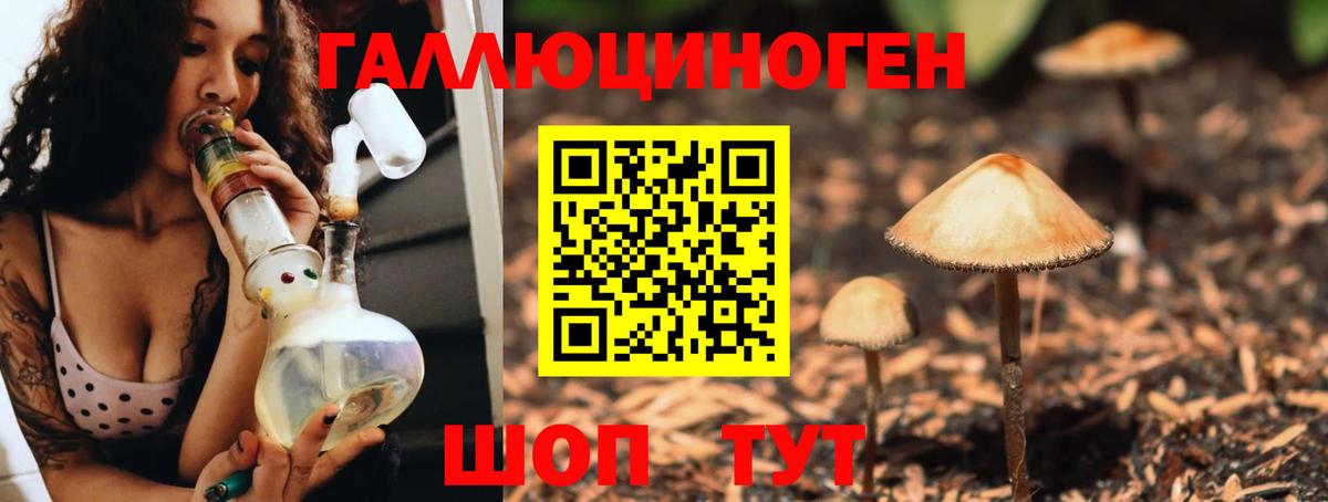 Галлюциногенные грибы Psilocybine cubensis  Псилоцибиновые грибы Psilocybine cubensis  Тельмана  Вход с VPN 